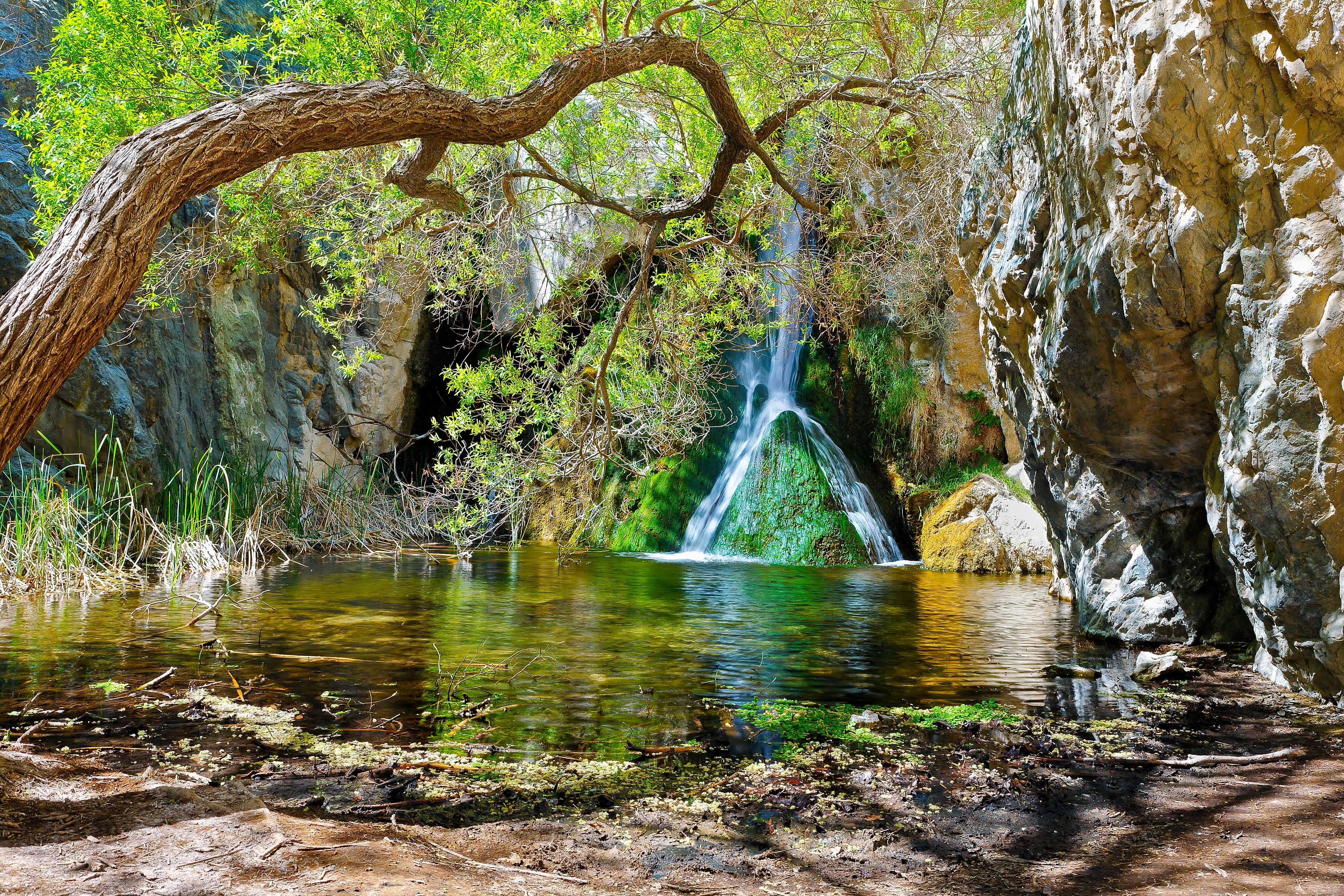 Darwin Falls, Death Valley National Park